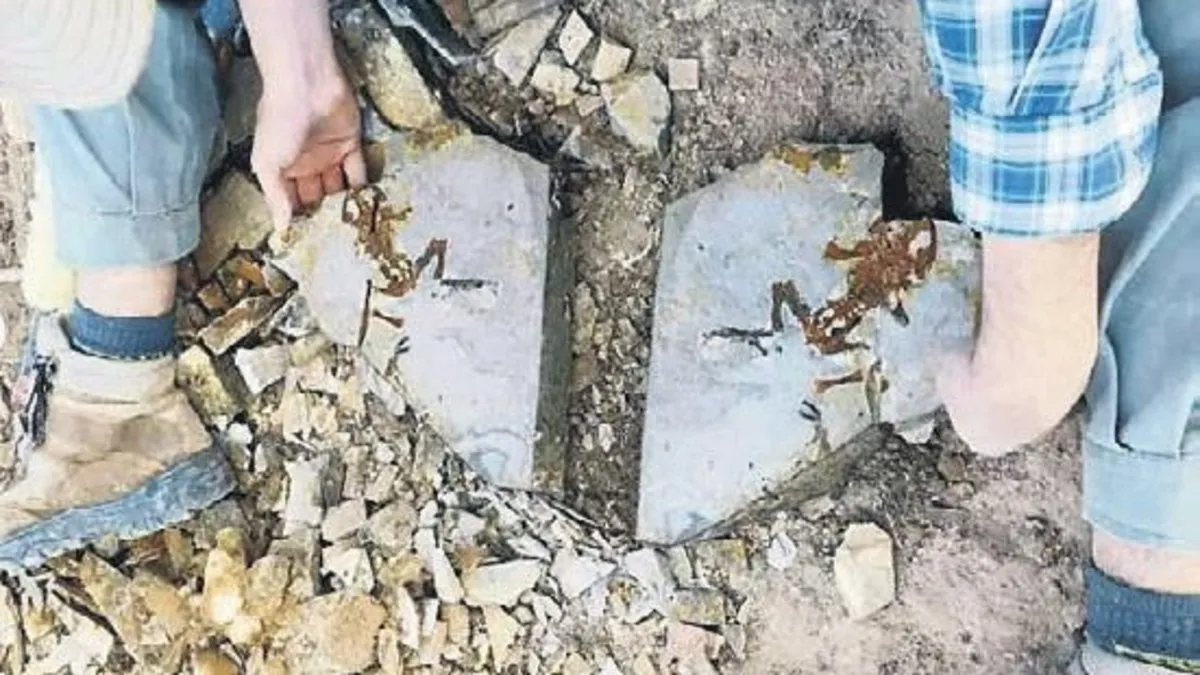 Bu kurbağa yavrusu fosili tam 161 milyon yıllık