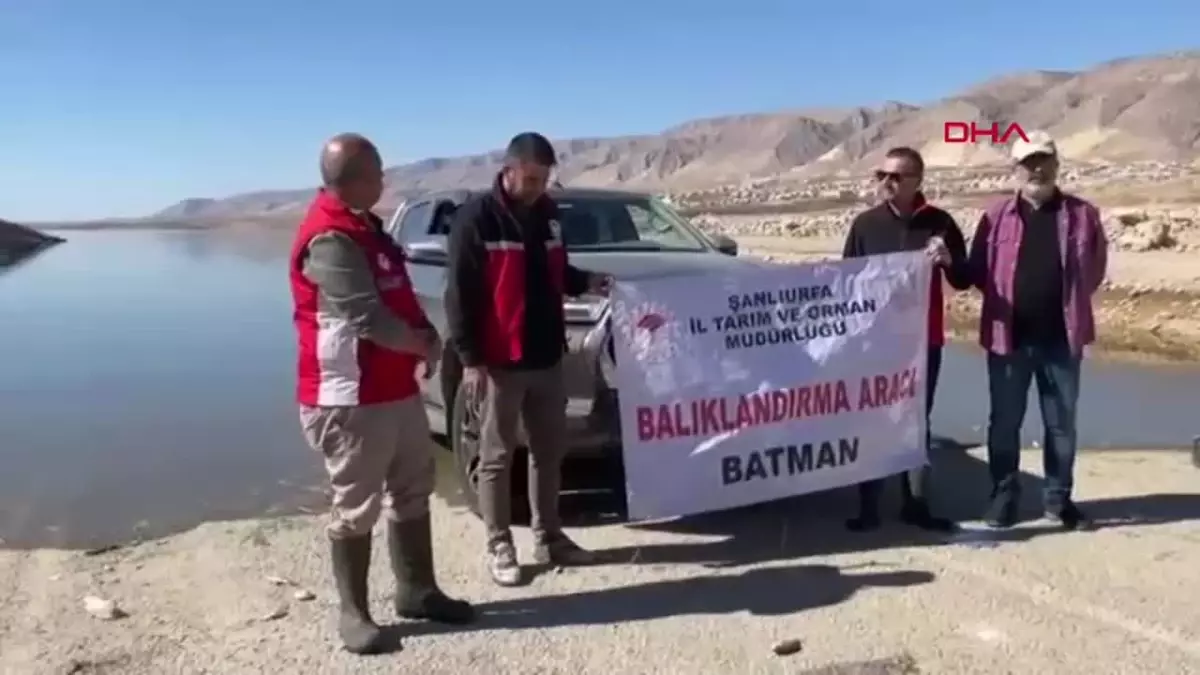 Ilısu Barajı’na 1 Milyon Şabut Balığı Bırakıldı