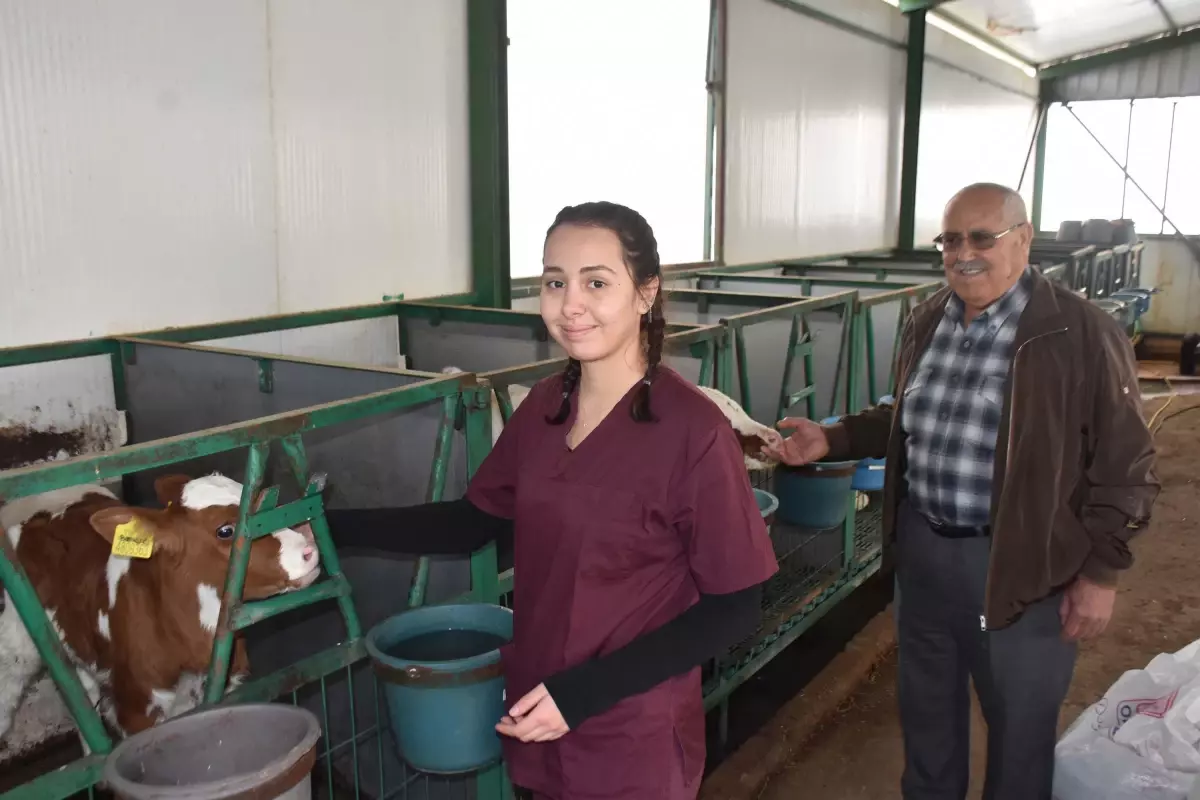 Dededen Toruna Hayvancılık: Ayşegül Sezen’in Veterinerlik Yolculuğu
