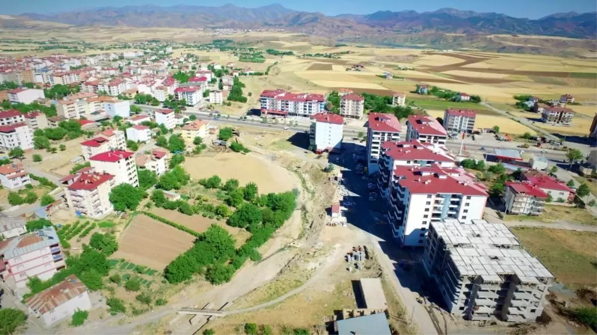 Kovancılar’da Şap Hastalığı Nedeniyle Hayvan Girişi Yasaklandı