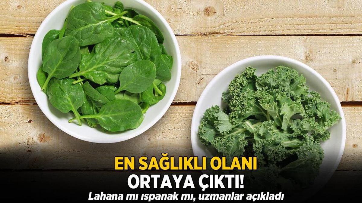 Lahana mı yoksa ıspanak mı yesek? En sağlıklısı ortaya çıktı, uzmanların favorisi
